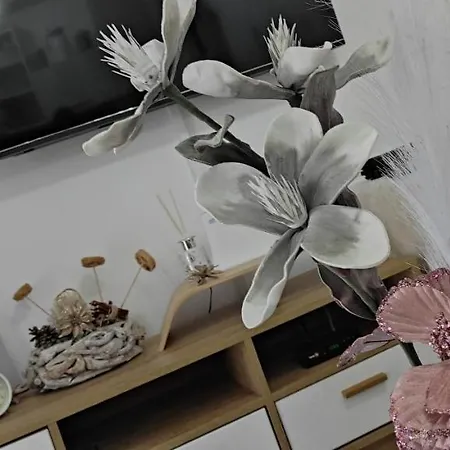 As דירה Divčibare